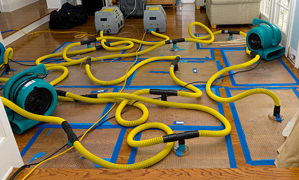 Professional Crawl Space Water Removal technician working in Thompsonville, CT